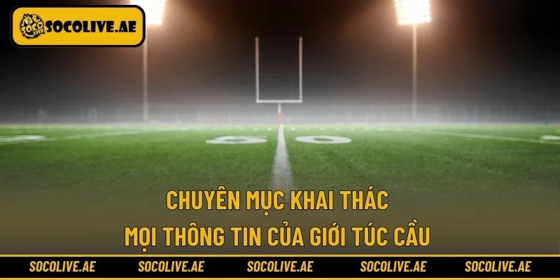 Chuyên mục khai thác mọi thông tin của giới túc cầu