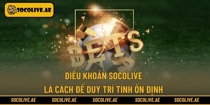 Điều khoản Socolive là cách để duy trì tính ổn định