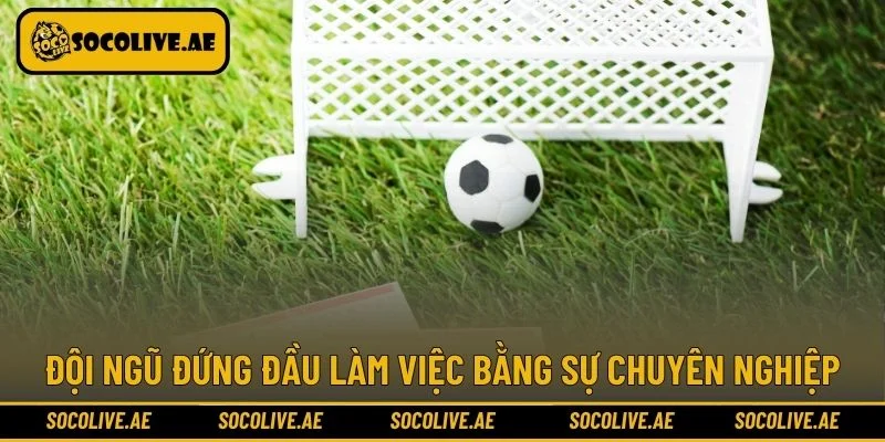 Đội ngũ đứng đầu làm việc bằng sự chuyên nghiệp