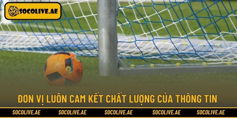 Đơn vị luôn cam kết chất lượng của thông tin