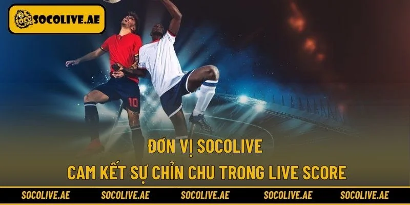 Đơn vị Socolive cam kết sự chỉn chu trong live score