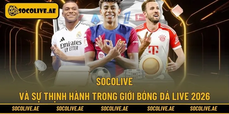 Những thông tin cơ bản nhất về Socolive