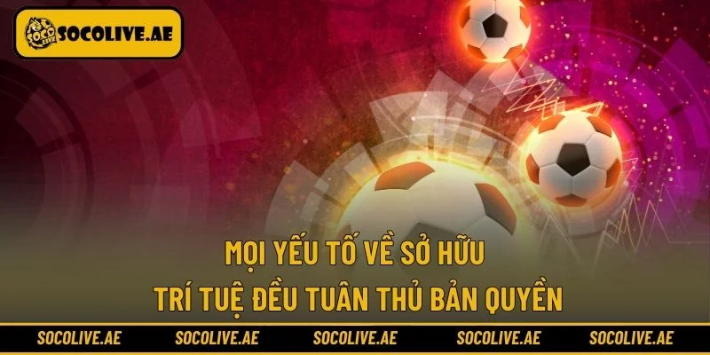 Mọi yếu tố về sở hữu trí tuệ đều tuân thủ bản quyền