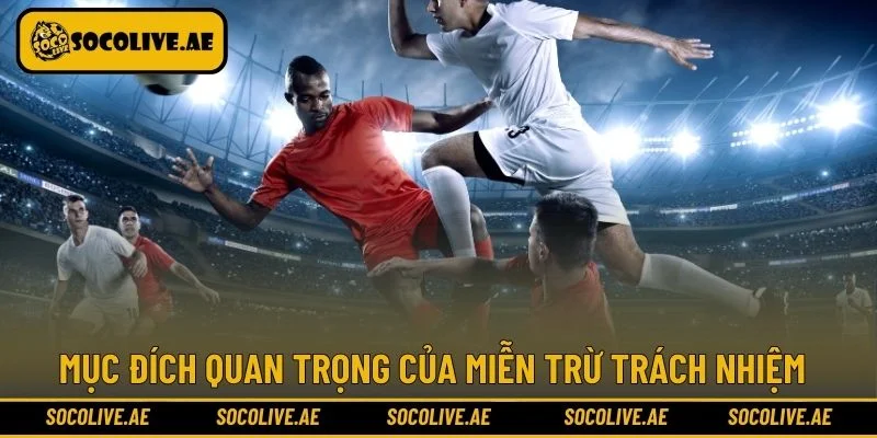 Mục đích miễn trừ trách nhiệm rất quan trọng