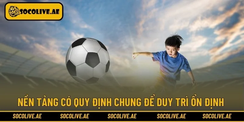 Nền tảng có quy định chung để duy trì ổn định 