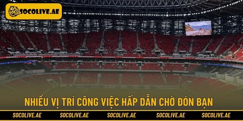 Nhiều công việc hấp dẫn chờ bạn tham gia