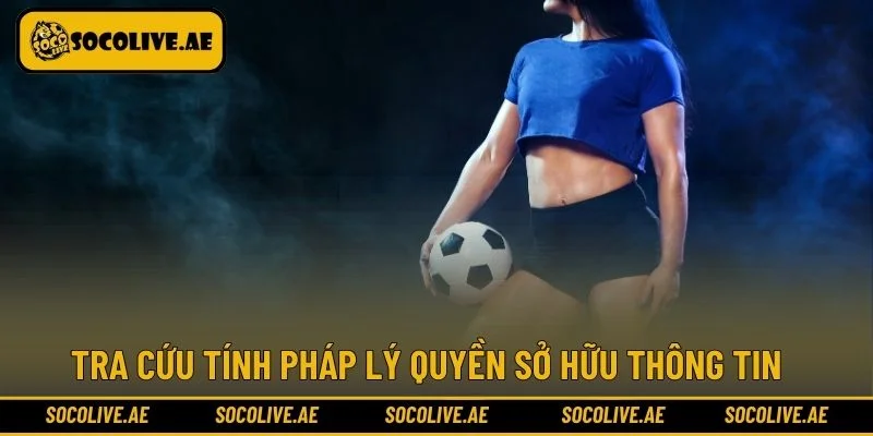 Tra cứu tính pháp lý quyền sở hữu thông tin 