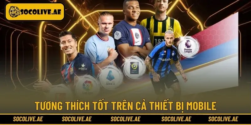 Tính tương thích đa thiết bị